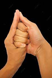 Shankha